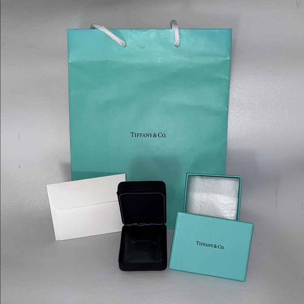 Tiffany & Co. Necklace Case with Iconic Blue Packaging